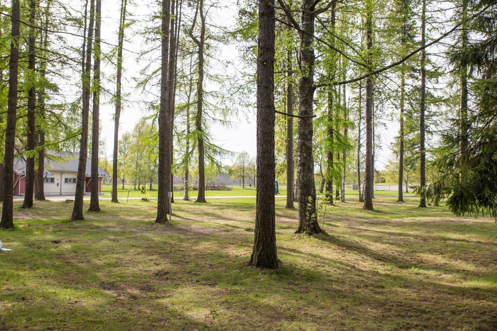 Holiday Linnunlahti يونسو الغرفة الصورة